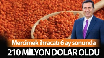 Mercimek ihracatı 6 ay sonunda 210 milyon dolar oldu