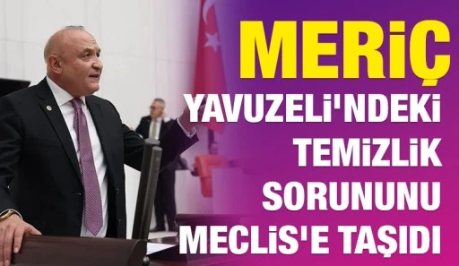 Meri&ccedil;, Yavuzeli&rsquo;ndeki Temizlik Sorununu Meclis&rsquo;e Taşıdı