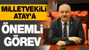 Milletvekili Atay'a önemli görev