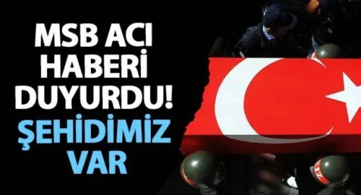 MSB acı haberi duyurdu: ŞEHİDİMİZ VAR