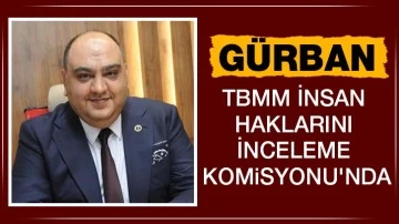 Gürban, TBMM İnsan Haklarını İnceleme Komisyonu'nda