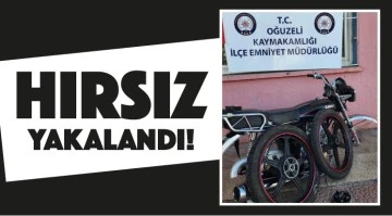 HIRSIZ YAKALANDI!