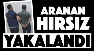 ARANAN HIRSIZ YAKALANDI!