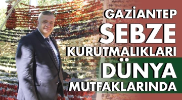GAZİANTEP SEBZE KURUTMALIKLARI DÜNYA MUTFAKLARINDA 