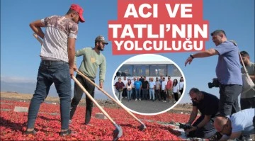 ACI VE TATLI'NIN yolculuğu 