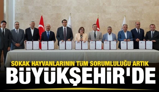 SOKAK HAYVANLARININ T&Uuml;M SORUMLULUĞU ARTIK B&Uuml;Y&Uuml;KŞEHİR&rsquo;DE