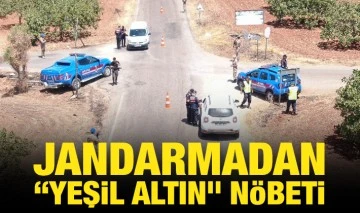 JANDARMADAN “YEŞİL ALTIN” NÖBETİ