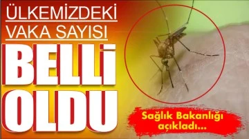 ÜLKEMİZDEKİ VAKA SAYISI BELLİ OLDU