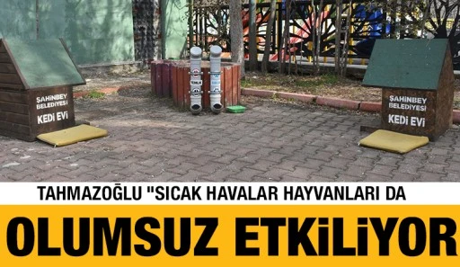 TAHMAZOĞLU “SICAK HAVALAR HAYVANLARI DA OLUMSUZ ETKİLİYOR”