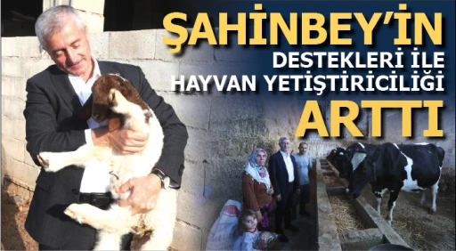 ŞAHİNBEY'İN DESTEKLERİ İLE HAYVAN YETİŞTİRİCİLİĞİ ARTTI