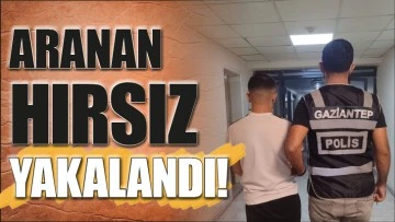 ARANAN HIRSIZ YAKALANDI!