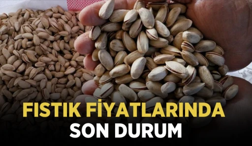 GAZİANTEP FISTIK FİYATLARINDA SON DURUM