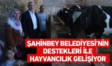 ŞAHİNBEY BELEDİYESİ’NİN DESTEKLERİ İLE HAYVANCILIK GELİŞİYOR 