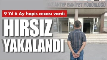 HIRSIZ YAKALANDI!