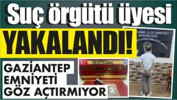 Suç örgütü üyesi YAKALANDI!