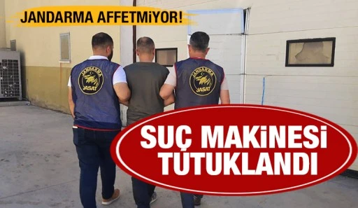 JANDARMA AFFETMİYOR! SUÇ MAKİNESİ TUTUKLANDI