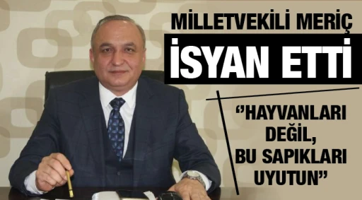 CHP MİLLETVEKİLİ MERİÇ İSYAN ETTİ: ‘’HAYVANLARI DEĞİL, BU SAPIKLARI UYUTUN’’