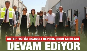 ANTEP FISTIĞI LİSANSLI DEPODA ÜRÜN ALIMLARI DEVAM EDİYOR