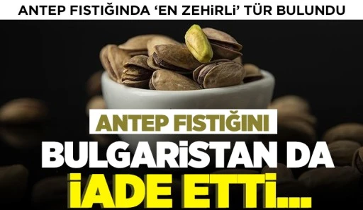 ANTEP FISTIĞINI BULGARİSTAN DA İADE ETTİ... 