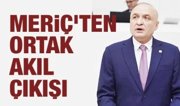 MERİÇ’TEN ORTAK AKIL ÇIKIŞI