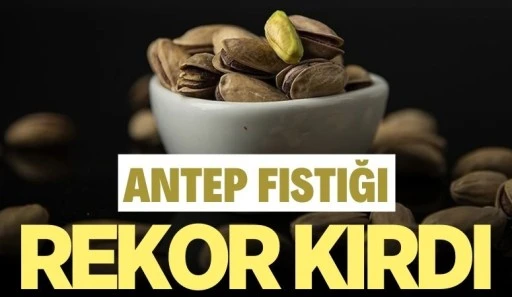 ANTEP FISTIĞI ÜRETİMİNDE TARİHİ REKOR