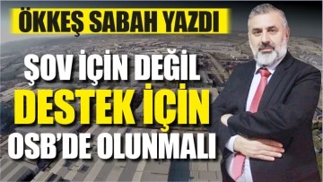 ÖKKEŞ SABAH YAZDI... 