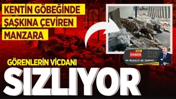 KENTİN GÖBEĞİNDE ŞAŞKINA ÇEVİREN MANZARA... GÖRENLERİN VİCDANI SIZLIYOR