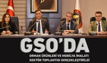 GSO’DA ORMAN ÜRÜNLERİ VE MOBİLYA İMALATI SEKTÖR TOPLANTISI GERÇEKLEŞTİRİLDİ