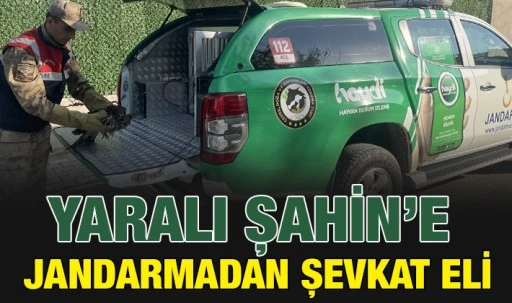 YARALI ŞAHİN’E JANDARMADAN ŞEVKAT ELİ