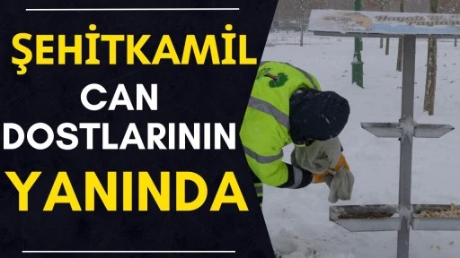 ŞEHİTKAMİL CAN DOSTLARININ YANINDA