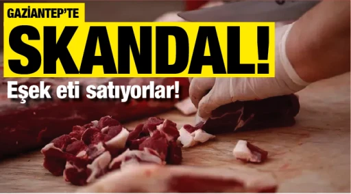GAZİANTEP'TE SKANDAL! EŞEK ETİ SATIYORLAR!