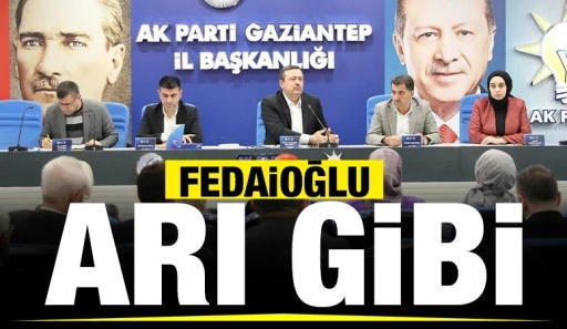 FEDAİOĞLU ARI GİBİ