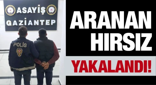 ARANAN HIRSIZ YAKALANDI!