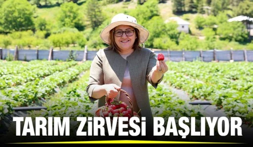 TARIM ZİRVESİ BAŞLIYOR 