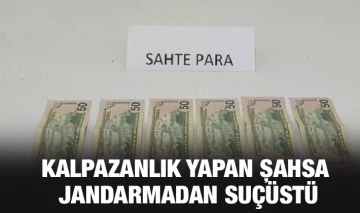 KALPAZANLIK YAPAN ŞAHSA JANDARMADAN SUÇÜSTÜ