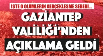GAZİANTEP VALİLİĞİ'NDEN AÇIKLAMA GELDİ...