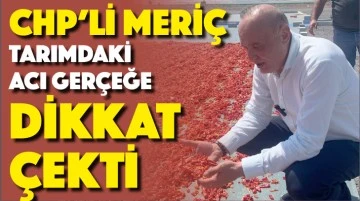 CHP’Lİ MERİÇ TARIMDAKİ ACI GERÇEĞE DİKKAT ÇEKTİ