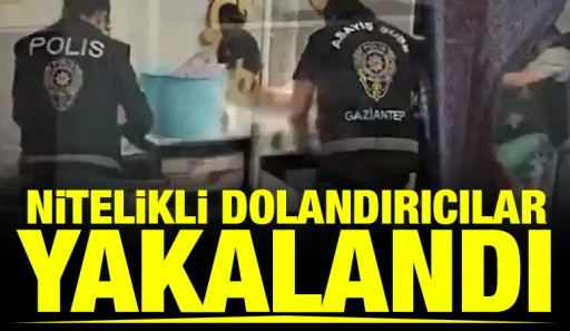 Nitelikli dolandırıcılar yakalandı