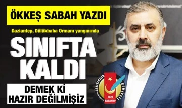 Ökkeş Sabah yazdı: Gaziantep, Dülükbaba Ormanı yangınında sınıfta kaldı