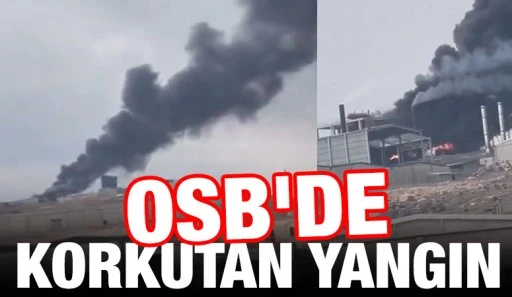 OSB'de korkutan yangın