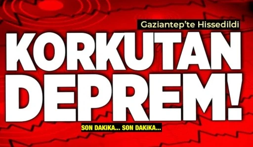 Osmaniye&rsquo;de 4.4&rsquo;l&uuml;k Deprem: Gaziantep&rsquo;te de Hissedildi