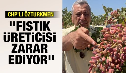 Öztürkmen, ''Fıstık üreticisi zarar ediyor''