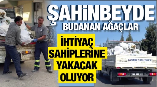 ŞAHİNBEYDE BUDANAN AĞAÇLAR İHTİYAÇ SAHİPLERİNE YAKACAK OLUYOR