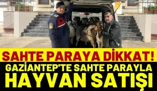 Sahte Paraya Dikkat! Gaziantep'te Sahte Parayla Hayvan Satışı