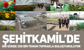 ŞEHİTKAMİL’DE BİR GÜNDE 200 BİN TOHUM TOPRAKLA BULUŞTURULUYOR