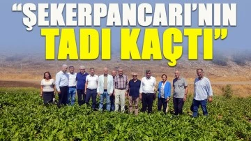 “ŞEKERPANCARI’NIN TADI KAÇTI”