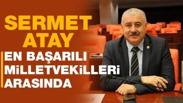 Sermet Atay en başarılı milletvekilleri arasında