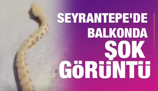 Seyrantepe&rsquo;de Balkonda Şok G&ouml;r&uuml;nt&uuml;