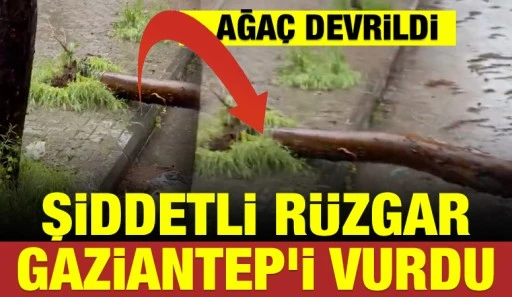 Şiddetli R&uuml;zgar Gaziantep&rsquo;i Vurdu: Ağa&ccedil; Devrildi