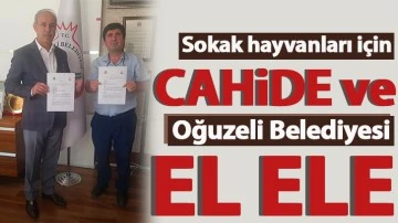 Sokak hayvanları için CAHİDE ve Oğuzeli Belediyesi el ele